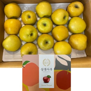 예니마켓 선물세트 황금 사과 시나노골드 (살짝기스) 5kg 개별 포장 과일