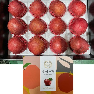 예니마켓 설날 선물세트 부사 꿀 사과 5kg 개별 포장 과일